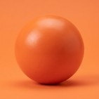 Pelotas para perros